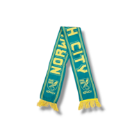 Fußballschal Norwich City