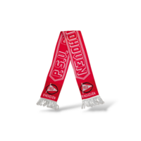 Fußballschal PSV Eindhoven