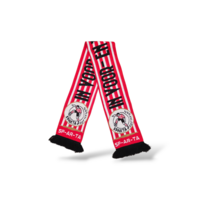 Fußballschal Sparta Rotterdam