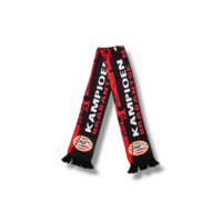 Fußballschal PSV Eindhoven