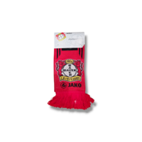 Voetbalsjaal Bayer 04 Leverkusen