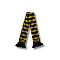 Voetbalsjaal Alemania Aachen