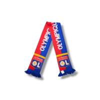 Voetbalsjaal Olympique Lyonnais