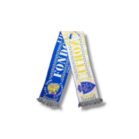 Fußballschal Real Zaragoza