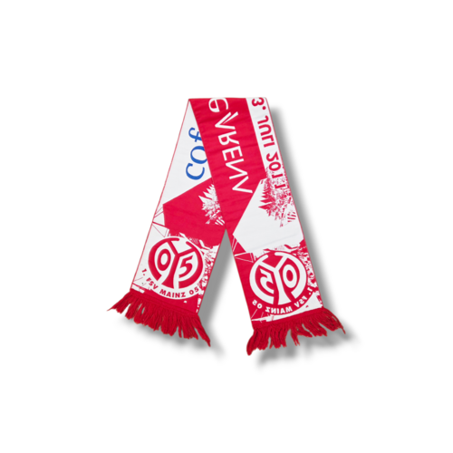 Voetbalsjaal 1. FSV Mainz 05