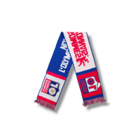 Voetbalsjaal Olympique Lyonnais