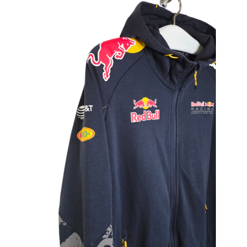Puma Origineel Puma F1 hoodie vest Red Bull Racing  Team 2016