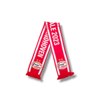 Football Scarf PSV Eindhoven - AFC Ajax