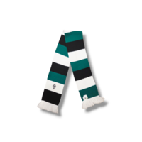 Fußballschal Borussia Mönchengladbach