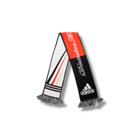 Voetbalsjaal Duitsland