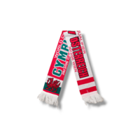 Football Scarf Wales - Austria