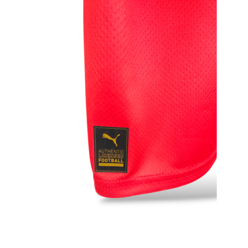 Puma Original retro vintage football shirt Switzerland World Cup 2022