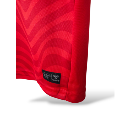 Hummel Original retro vintage goalkeeper shirt Werder Bremen 2024/25