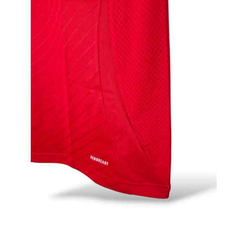 Adidas Origineel retro vintage voetbalshirt SL Benfica 2024/25