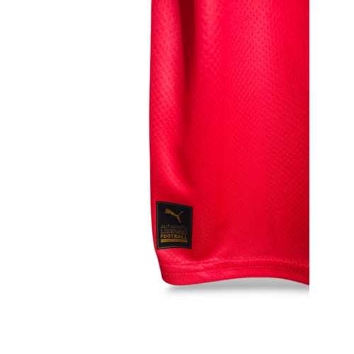 Puma Origineel retro vintage voetbalshirt Zwitserland World Cup 2022