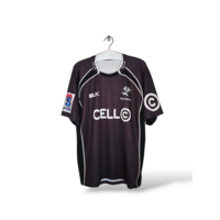 Sharks (rugby union) (XXL)
