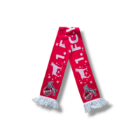 Fußballschal 1. FC Köln