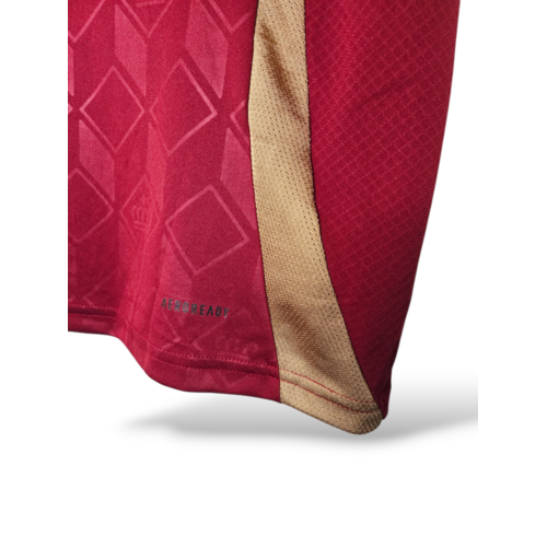 Adidas Original retro vintage football shirt Belgium 2024