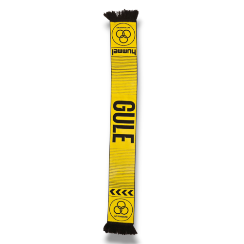 Originele Voetbalsjaal AC Horsens