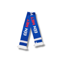 Fußballschal SC Heerenveen