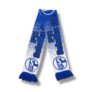Voetbalsjaal FC Schalke 04 Voetbalsjaal FC Schalke 04