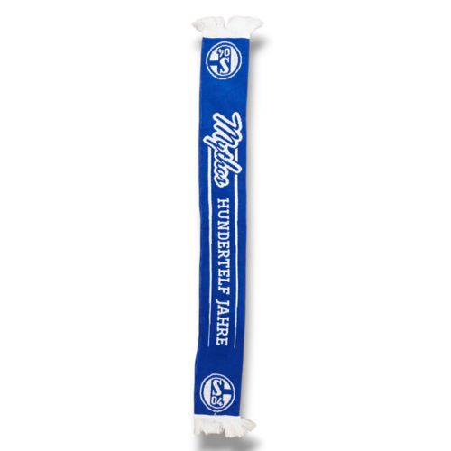 Originele Voetbalsjaal FC Schalke 04