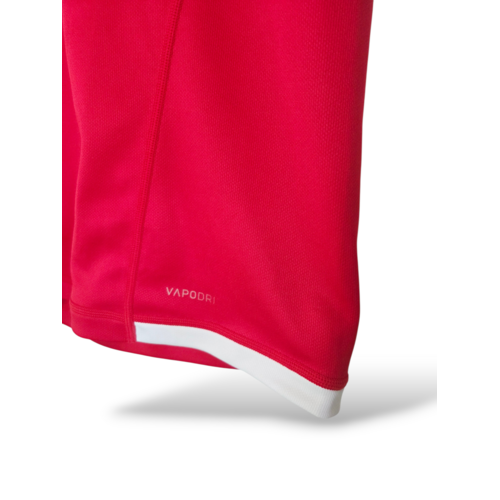 Canterbury Origineel Canterbury vintage rugbyshirt British & Irish Lions 2021