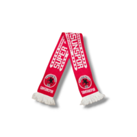 Voetbalsjaal Samsunspor