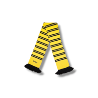 Voetbalsjaal Borussia Dortmund