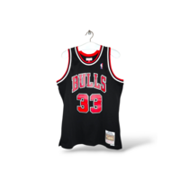 Chicago Bulls (L)