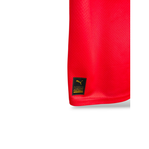 Puma Origineel retro vintage voetbalshirt Zwitserland World Cup 2022