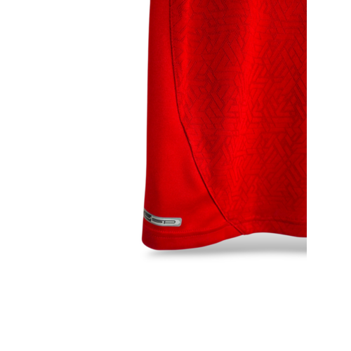 Puma Origineel retro vintage voetbalshirt Egypte 2010/11 Puma Origineel retro vintage voetbalshirt Egypte 2010/11