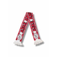 Voetbalsjaal AFC Ajax