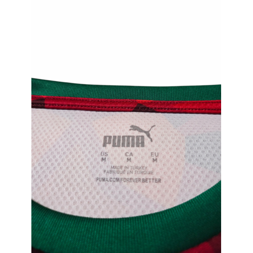 Puma Origineel retro vintage voetbalshirt Marokko 2023 Puma Origineel retro vintage voetbalshirt Marokko 2023