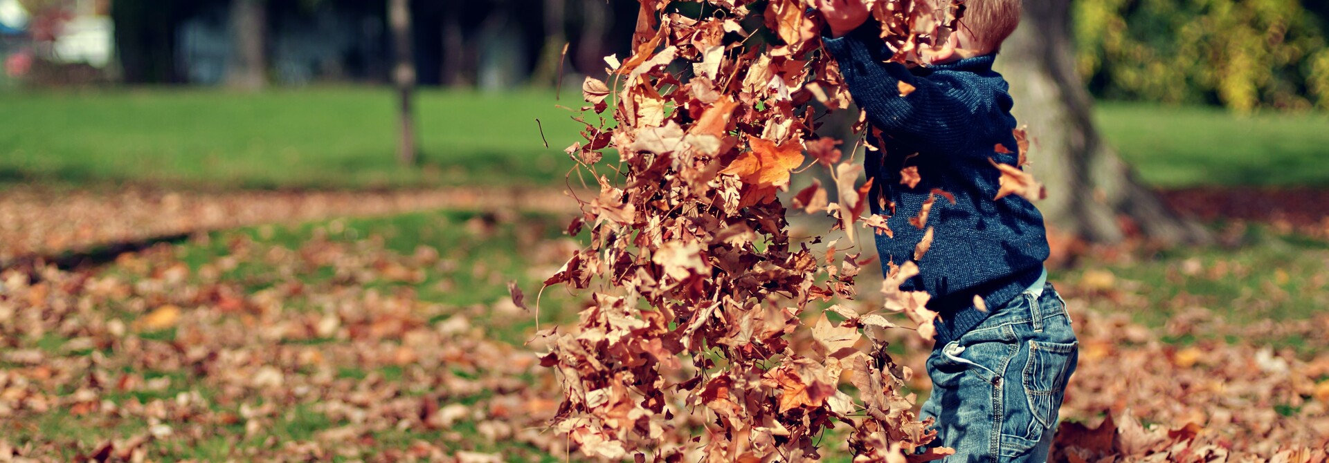 Herfstwandeling | Bubblebum NL
