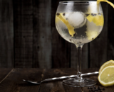 De Diverse Wereld van Gin: Van London Dry tot Sloe Gin