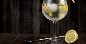 De Diverse Wereld van Gin: Van London Dry tot Sloe Gin