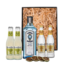Bombay Sapphire Gin Tonic Pakket XL