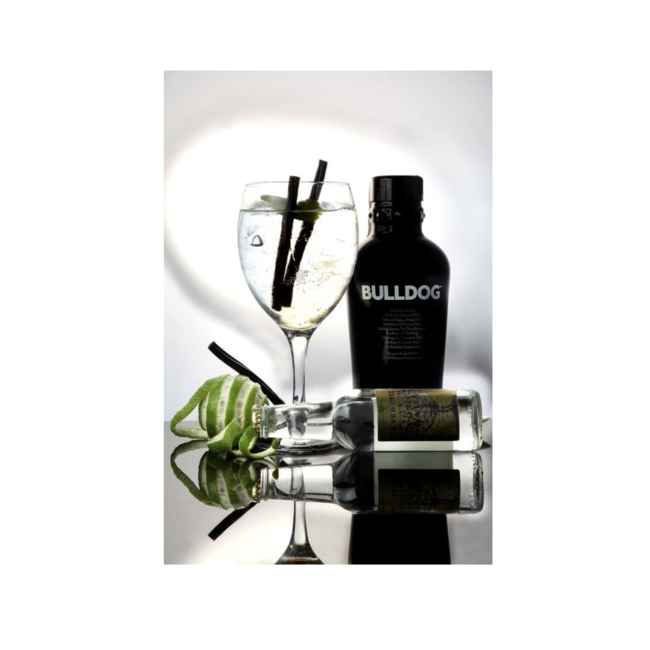 Bulldog Gin 100CL