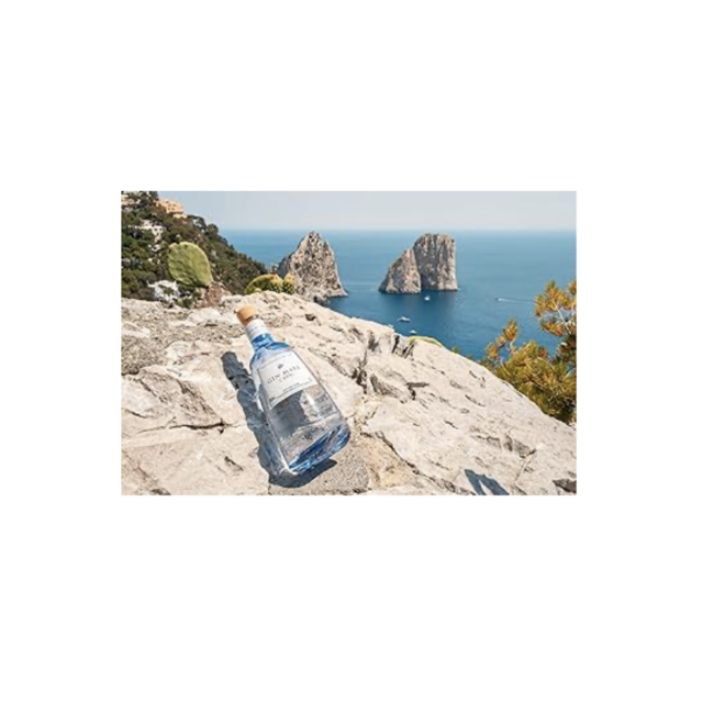 Gin-Mare Capri 0.7L