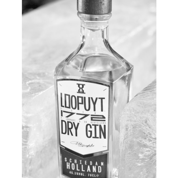 Loopuyt Loopuyt Dry Gin 0.7CL
