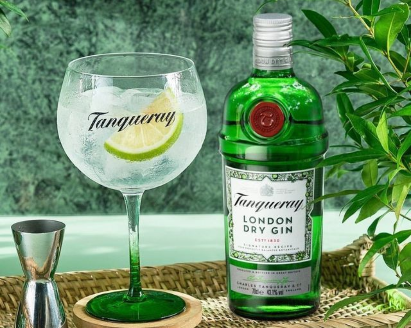 Hoeveel alcoholpercentage zit er in Gin? 