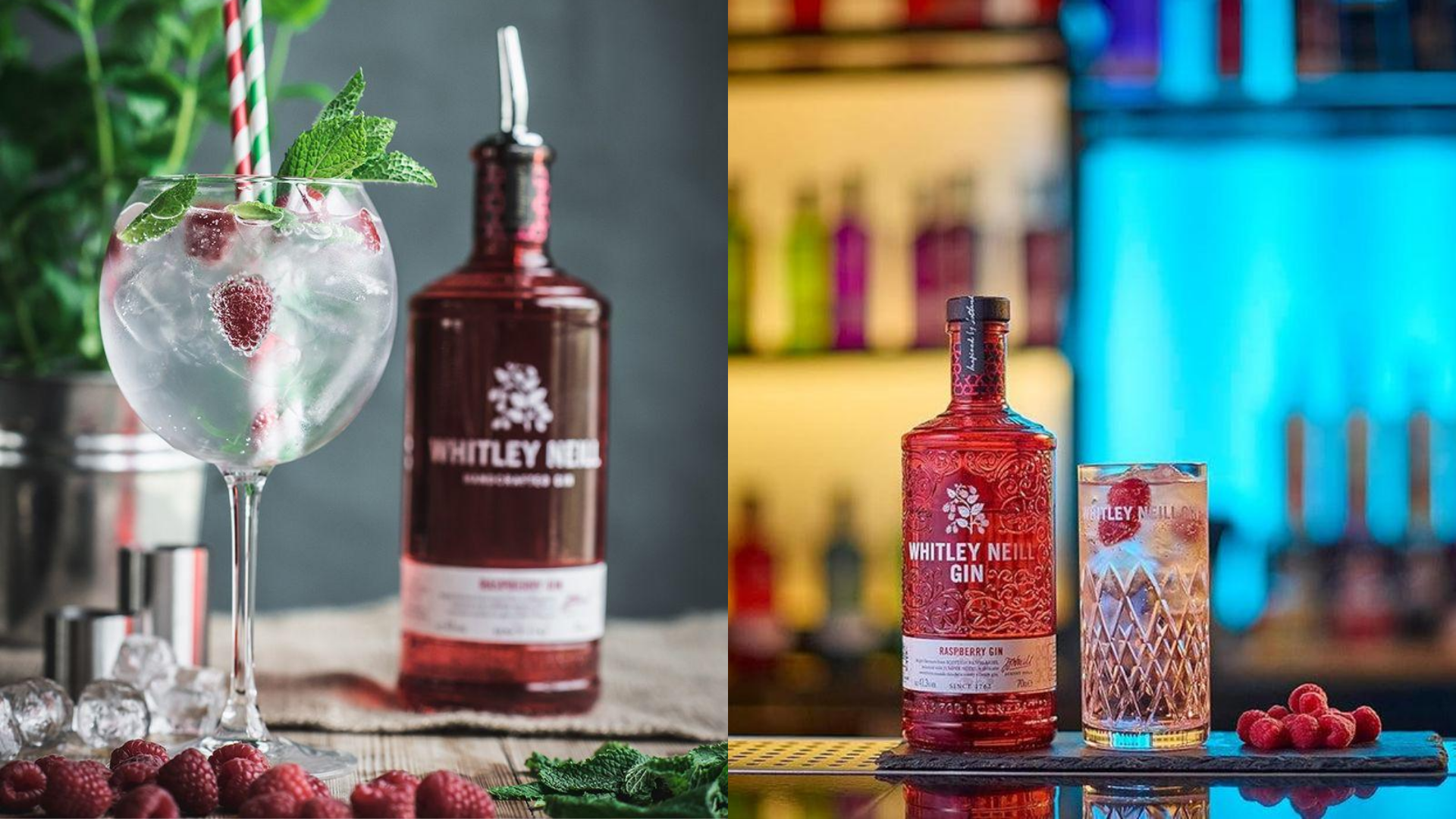Zomerse Gin-Tonic met Frambozen en Munt