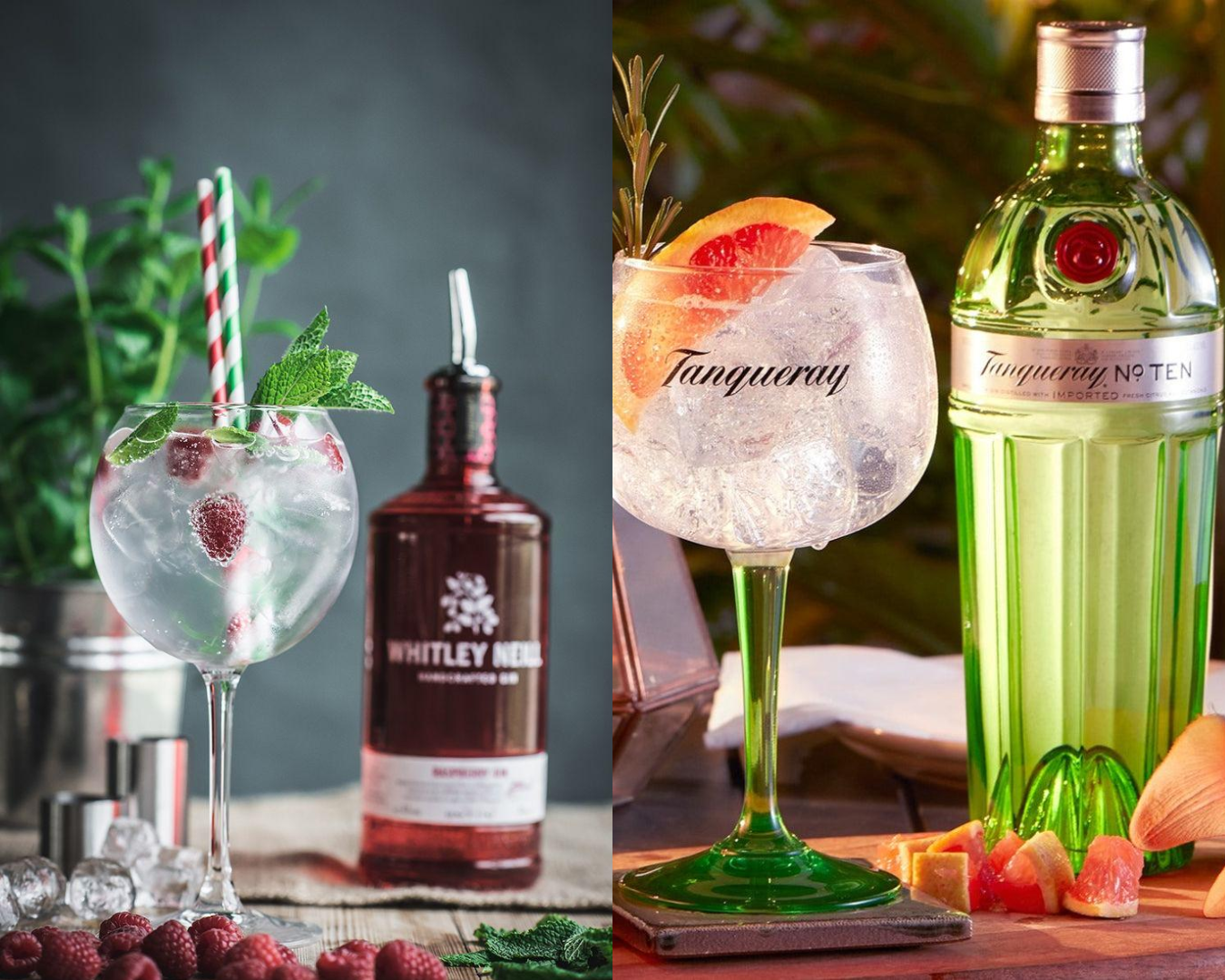 Gin ontdekken in het nieuwe jaar: verschillende smaken