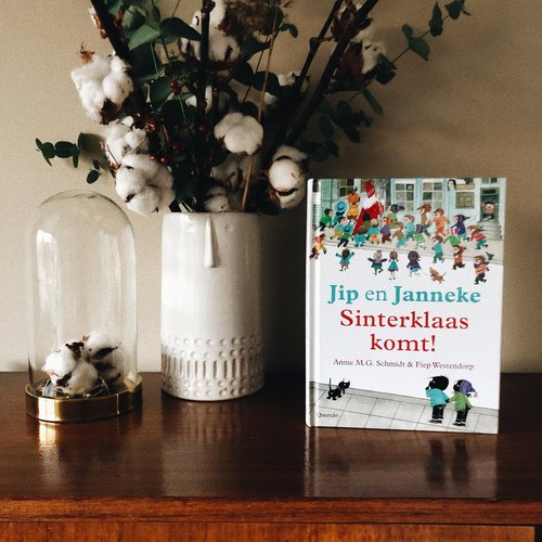 Boeken Jip en Janneke: Sinterklaas komt! Boeken Jip en Janneke: Sinterklaas komt!