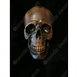 Skull - Copper resin