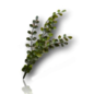 Branche d'acacia synthètique - petit