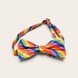 Bowtie with a colorful rainbow pattern.