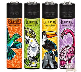 Clipper Paradiesvögel - Feuerzeuge - 4er Set (Classic Large)
