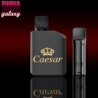 Caesar Caesar Shadow - Cactus Ice - Liquid Pod - 2 ml - Nikotin 20 mg - 2er Pack (4ml) Caesar Caesar Shadow - Cactus Ice - Liquid Pod - 2 ml - Nikotin 20 mg - 2er Pack (4ml)